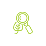 promo-icon-plant-study
